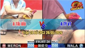 Trận 24 CPC3 28/05/2026 - Gà Khét Đá Siết Mấy Chân Cựa Quá Hiểm Hóc
