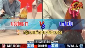 Trận 24 CPC3 31/05/2026 - Gà Điều Có Chân Cựa Quá Hiểm Hóc