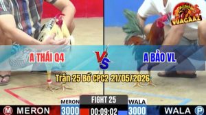 Trận 25 CPC2 21/05/2026 - Gà Điều Cọp Anh Bảo Đá Đúng 1 Chân
