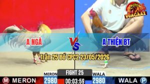 Trận 25 CPC2 23/05/2026 - Gà Anh Thiện BT Đá Cái Bo Như Xe Đụng