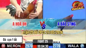 Trận 25 CPC2 27/05/2026 - Anh Hoà Tiếp Tục Làm Thịt Anh Bảo Sting