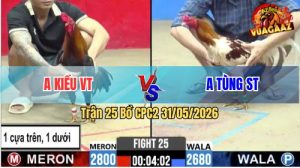 Trận 25 CPC2 31/05/2026 - Gà Anh Tùng Có Pha Lật Kèo Quá Ngoạn Mục