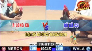 Trận 25 CPC3 16/05/2026 - Gà Cọp Anh Long Kiên Giang Đâm Như Giang Hồ