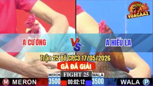 Trận 25 CPC3 17/05/2026 - Anh Cường Giành Lấy 3 Điểm Dễ Dàng