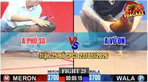 Trận 25 CPC3 23/05/2026 - Gà Anh Vũ Đồng Nai Có Chân Cựa Chí Mạng