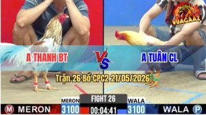 Trận 26 CPC2 21/05/2026 - Gà Úa Gồng Gánh Cứu Chủ Quá Đẳng Cấp
