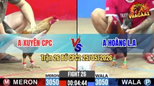 Trận 26 CPC2 25/05/2026 - Gà Anh Xuyên CPC Đá Phản Ăn 2 Đẳng Cấp
