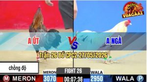 Trận 26 CPC2 27/05/2026 - Gà Điều Anh Út Toàn Canh Đâm Cựa Mu Lưng
