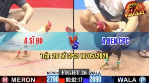 Trận 26 CPC3 16/05/2026 - Gà Bướm Anh Sĩ BD Vừa Lì Vừa Đâm