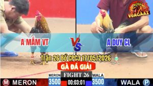 Trận 26 CPC3 17/05/2026 - Gà Chuối Anh Duy CL Có Chân Cựa Chí Mạng