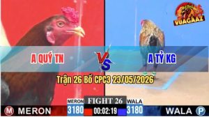 Trận 26 CPC3 23/05/2026 - Gà Điều Anh Quý Tây Ninh Đá Quá Bến Thế