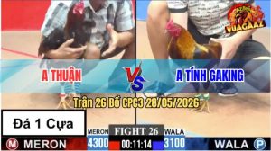 Trận 26 CPC3 28/05/2026 - Idol Tính Gaking Chấp Hơn 1 Ký Vẫn Lụm