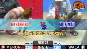 Trận 27 CPC2 21/05/2026 - Chưa Thả Đã Dí Bạc Ăn 5, Nhận Cái Kết Đắng
