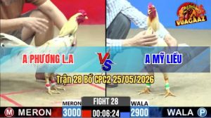 Trận 28 CPC2 25/05/2026 - Anh Phương Hạ Anh Mỹ Liều Chưa Tới Tay Nước