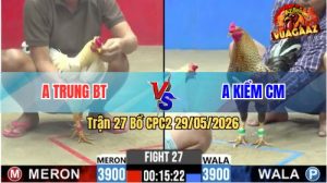 Trận 27 CPC2 29/05/2026 - Gà Anh Kiểm Cà Mau Đá Cái Bo Như Búa Bổ