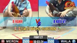 Trận 27 CPC2 31/05/2026 - Anh Kiều Hạ Đối Thủ Nằm Liệt Tại Bồ
