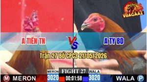 Trận 27 CPC3 21/05/2026 - Anh Ty Bình Dương Lụm Anh Tiền Nhanh Gọn