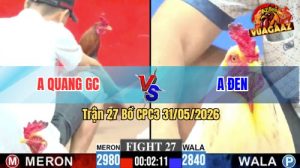 Trận 27 CPC3 31/05/2026 - Gà Bướm Anh Đen Hạ Đối Thủ Lật Xe Tại Chỗ