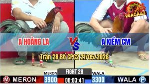 Trận 28 CPC2 21/05/2026 - Idol Kiểm Cà Mau Chấp Hơn 8 Chấm Vẫn Lụm