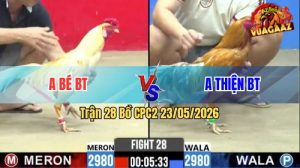 Trận 28 CPC2 23/05/2026 - Gà Khét Cọp Dí Bạc Ăn 5 Và Cái Kết
