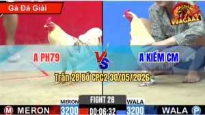 Trận 28 CPC2 30/05/2026 - Gà Úa Anh Kiểm Cà Mau Nạp Siết Lấy Tiền