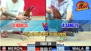 Trận 28 CPC2 31/05/2026 - 2 Con Điều Quá Lì Đòn, Hoà Mãn Nhãn