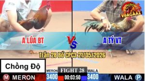 Trận 28 CPC3 21/05/2026 - Anh Tý VT Đánh Bại Gà Chồng Độ Của Anh Lúa