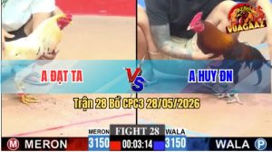 Trận 28 CPC3 28/05/2026 - Gà Bướm Anh Đạt Đá Bươi Chà Như Cái Máy