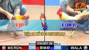 Trận 28 CPC3 31/05/2026 - Gà Xám Gồng Gánh Cứu Chủ 1 Màn Thua