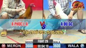 Trận 29 CPC2 25/05/2026 - Gà Úa Anh Đủ Canh Đâm 1 Cây Ngay Kẹt Nách