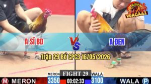 Trận 29 CPC3 16/05/2026 - Anh Đen Dí Bạc Anh Sĩ Ăn 6 Và Cái Kết