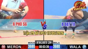 Trận 29 CPC3 17/05/2026 - Anh Phú Sài Gòn Có Pha Lội Ngược Dòng