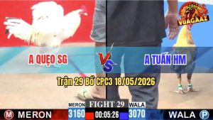 Trận 29 CPC3 18/05/2026 - Anh Quẹo SG Đối Đầu Với Anh Tuấn Hốc Môn