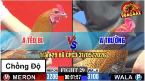 Trận 29 CPC3 31/05/2026 - Gà Điều Anh Tèo BL Chồng Độ Lên Lớp