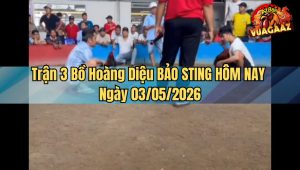 Trận 3 Bồ Hoàng Diệu BẢO STING HÔM NAY Ngày 03052026