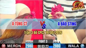 Trận 3 CPC2 19/05/2026 - Gà Que Anh Tùng CT Hạ Gọn Anh Bảo Sting