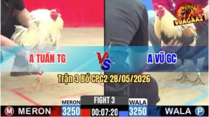 Trận 3 CPC2 28/05/2026 - Gà Chuối Anh Vũ Đá Đòn Cựa Quá Nghiệt