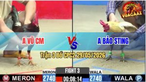 Trận 3 CPC2 29/05/2026 - Gà Anh Vũ Quá Đâm, Idol Bảo Sting Chịu Trận