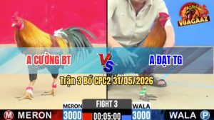 Trận 3 CPC2 31/05/2026 - Chưa Thả Gà Anh Cường Đã Dí Bạc