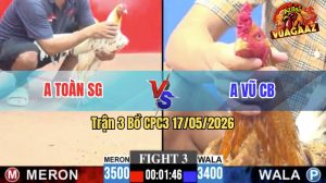 Trận 3 CPC3 17/05/2026 - Anh Toàn Vũng Tàu Làm Thịt Anh Bé Cái Bè