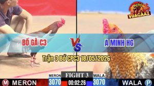 Trận 3 CPC3 18/05/2026 - Bồ C3 Chưa Gì Dí Ăn 5, Anh Minh Đá Cho Ná Thở