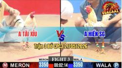 Trận 3 CPC3 21/05/2026 - Gà Anh Hiều Sài Gòn Đá Đòn Quá Hiểm