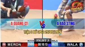 Trận 3 CPC3 25/05/2026 - Anh Quang Làm Thịt Anh Bảo Sting Dễ Dàng