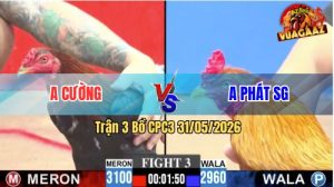 Trận 3 CPC3 31/05/2026 - Gà Anh Phát Sài Gòn Đó Đòn Như Búa Bổ