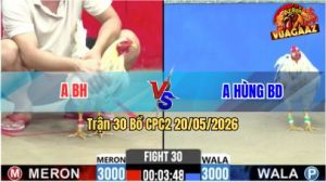 Trận 30 CPC2 20/05/2026 - Anh BH Thể Hiện Tài Nghệ Nài Gà Quá Hay