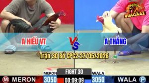 Trận 30 CPC2 27/05/2026 - Gà Điều Anh Hiếu Có Chân Cựa Quá Nghiệt