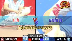 Trận 30 CPC3 17/05/2026 - Anh Tài Có Pha Lật Kèo Quá Ngoạn Mục