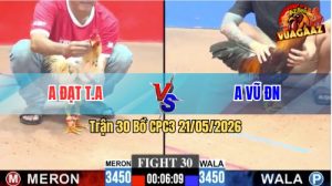 Trận 30 CPC3 21/05/2026 - Gà Điều Anh Vũ Đồng Nai Bươi Chà Như Cái Máy