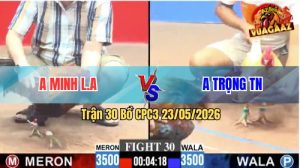 Trận 30 CPC3 23/05/2026 - Gà Anh Minh Long An Đá Xanh Gãy Cánh