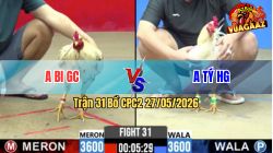 Trận 31 CPC2 27/05/2026 - Gà Anh Tý Siết 1 Hơi Buông Ra Lụm Tiền